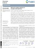 Cover page: Mild and scalable synthesis of phosphonorhodamines.