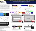 Cover page: Whole-Genome gene expression and gene family analyses of Phycomyces blakesleeanus, a model photoresponsive zygomycete