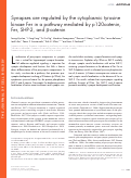 Cover page: Synapses are regulated by the cytoplasmic tyrosine kinase Fer in a pathway mediated by p120catenin, Fer, SHP-2, and β-catenin