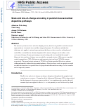 Cover page: State and rate-of-change encoding in parallel mesoaccumbal dopamine pathways.