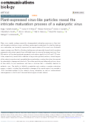 Cover page: Plant-expressed virus-like particles reveal the intricate maturation process of a eukaryotic virus