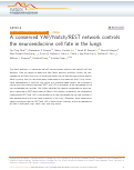 Cover page: A conserved YAP/Notch/REST network controls the neuroendocrine cell fate in the lungs