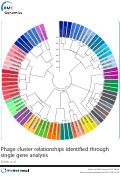 Cover page: Phage cluster relationships identified through single gene analysis