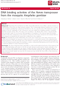 Cover page: DNA binding activities of the Herves transposase from the mosquito Anopheles gambiae.