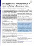 Cover page: Bypassing a 8,5′-cyclo-2′-deoxyadenosine lesion by human DNA polymerase η at atomic resolution