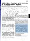 Cover page: Mitotic antipairing of homologous and sex chromosomes via spatial restriction of two haploid sets