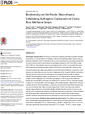 Cover page: Biodiversity on the Rocks: Macrofauna Inhabiting Authigenic Carbonate at Costa Rica Methane Seeps