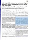 Cover page: LEC1 sequentially regulates the transcription of genes involved in diverse developmental processes during seed development