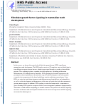 Cover page: Fibroblast growth factor signaling in mammalian tooth development