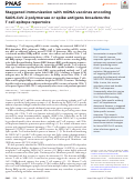 Cover page: Staggered immunization with mRNA vaccines encoding SARS-CoV-2 polymerase or spike antigens broadens the T cell epitope repertoire.