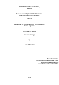 Cover page: Race and Justice System Attitude Formation during the Transition to Adulthood