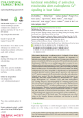 Cover page: Functional remodelling of perinuclear mitochondria alters nucleoplasmic Ca2+ signalling in heart failure