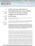 Cover page: Under- and over-water halves of Gyrinidae beetle eyes harbor different corneal nanocoatings providing adaptation to the water and air environments.