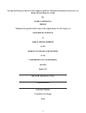 Cover page: Testing the Protective Role of Peer Support and Peer Cultural Socialization in the Lives of Ethnic-Racial Minority Youth