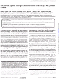 Cover page: DNA damage to a single chromosome end delays anaphase onset.