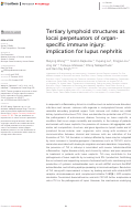 Cover page: Tertiary lymphoid structures as local perpetuators of organ-specific immune injury: implication for lupus nephritis.