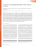 Cover page: A dynamic formin-dependent deep F-actin network in axons