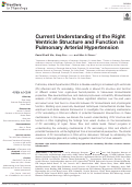 Cover page: Current Understanding of the Right Ventricle Structure and Function in Pulmonary Arterial Hypertension