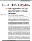 Cover page: Spatial and temporal changes in extracellular elastin and laminin distribution during lung alveolar development