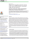 Cover page: Olig2 and Hes regulatory dynamics during motor neuron differentiation revealed by single cell transcriptomics