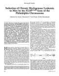 Cover page: Induction of Chronic Myelogenous Leukemia in Mice by the P210bcr/abl Gene of the Philadelphia Chromosome