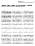 Cover page: Spore formation in plants: SPOROCYTELESS and more
