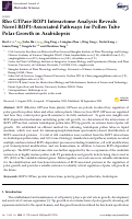 Cover page: Rho GTPase ROP1 Interactome Analysis Reveals Novel ROP1-Associated Pathways for Pollen Tube Polar Growth in Arabidopsis