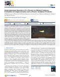 Cover page: Heterogeneous Reactions of α‑Pinene on Mineral Surfaces: Formation of Organonitrates and α‑Pinene Oxidation Products