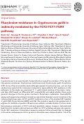 Cover page: Flucytosine resistance in Cryptococcus gattii is indirectly mediated by the FCY2-FCY1-FUR1 pathway