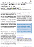 Cover page: A TAL effector-like protein of an endofungal bacterium increases the stress tolerance and alters the transcriptome of the host