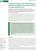 Cover page: Glutamine prevents acute kidney injury by modulating oxidative stress and apoptosis in tubular epithelial cells