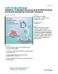 Cover page: Inhibition of Staphylococcus aureus biofilm-forming functional amyloid by molecular tweezers