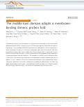 Cover page: The middle lipin domain adopts a membrane-binding dimeric protein fold