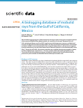 Cover page: A biologging database of mobulid rays from the Gulf of California, Mexico.