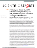 Cover page: Pathways to clinical CLARITY: volumetric analysis of irregular, soft, and heterogeneous tissues in development and disease.