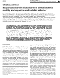 Cover page: Exopolysaccharide microchannels direct bacterial motility and organize multicellular behavior