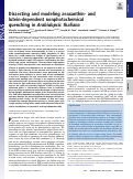 Cover page: Distinguishing Characteristics in the Regulations of Carotenoid Dependent Non-photochemical Quenching in Light Harvesting Plants