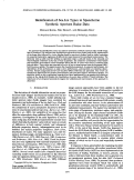 Cover page: Identification of sea ice types in spaceborne synthetic aperture radar data