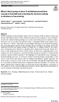 Cover page: What is that’s going on here? A multidimensional time concept is foundational to framing for decision making in situations of uncertainty