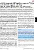 Cover page: mTORC1-chaperonin CCT signaling regulates m6A RNA methylation to suppress autophagy