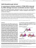 Cover page: A scanning-to-incision switch in TFIIH-XPG induced by DNA damage licenses nucleotide excision repair