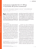 Cover page: Involvement of zebrafish Na+,K+ ATPase in myocardial cell junction maintenance