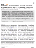 Cover page: Intervertebral disc degeneration is rescued by TGFβ/BMP signaling modulation in an ex vivo filamin B mouse model