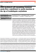Cover page: PIN2-mediated self-organizing transient auxin flow contributes to auxin maxima at the tip of Arabidopsis cotyledons.