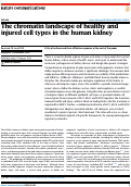 Cover page: The chromatin landscape of healthy and injured cell types in the human kidney.