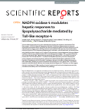 Cover page: NADPH oxidase 4 modulates hepatic responses to lipopolysaccharide mediated by Toll-like receptor-4