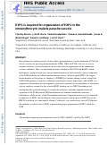 Cover page: EXP1 is required for organisation of EXP2 in the intraerythrocytic malaria parasite vacuole