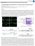 Cover page: A mutation linked to degt-1(ok3307) in C. elegans strain VC2633 affects rpm-1