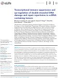 Cover page: Transcriptional immune suppression and up-regulation of double-stranded DNA damage and repair repertoires in ecDNA-containing tumors.