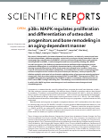 Cover page: p38α MAPK regulates proliferation and differentiation of osteoclast progenitors and bone remodeling in an aging-dependent manner